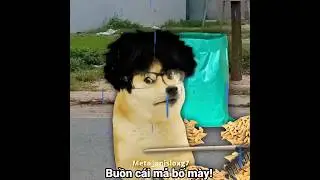 Nu&ocirc;i tốn cơm cre: Đạt đi fixed (tiktok) #cheems #memes #animation #foryou #viralvideo #memes