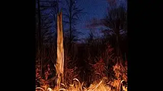 Noctem Vulpes - What Lays in the Woods (Dark Ambient/ Drone/ Ritual Ambient)