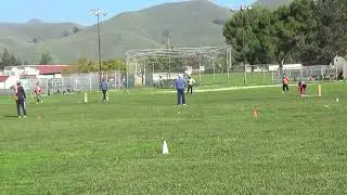 MCC Vs Singhams - 2025 CricBay Fall Open Gold - Sunday 11/23/2025 12:30PM @Rancho - 2