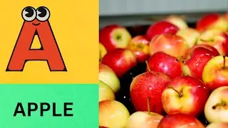 ABC Phonics Song | Alphabet letter sounds | ABC learning for toddlers | Education ABC Nursery Rhymes