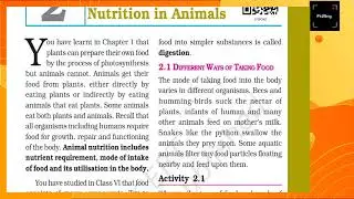 Different way of taking food 🍲II CH.2 NCERT SCIENCE CLASS 7TH