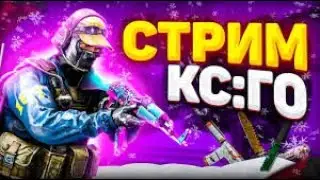 counter strike СТРИМЛЮ ЗАЛЕЙТАЙТЕ ЛЯ БУДУ #cs2 #countersrtike