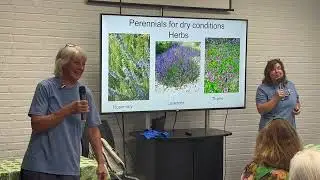 Perennial Care The Shady Ladies