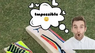 Can This Cricket Bat Be Fixed | Cricket Bat Repair | Bat Restoration | Broken Bat In Cricket