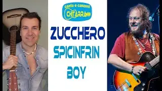 Spicinfrin boy ZUCCHERO Cover chitarra acustica www.sergioestefy.it