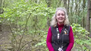 Introduction to Harmful and Toxic Plants
