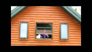 Revolutionary H Window