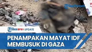 GAGAL DIEVAKUASI! Sejumlah Mayat Tentara IDF Membusuk di Khan Younis, Tulang Tercecer