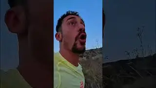 Crazy Animal Encounter: What Happened?! #shorts