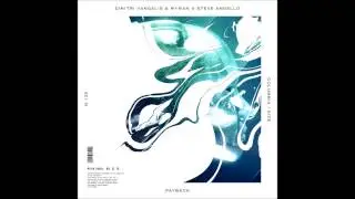 Payback In My Mind (Steve Angello Mashup)