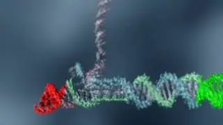 DNA Join circuit