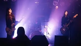 no room - Honey Bee