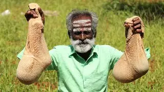 INTESTINE Biryani !!! Prepared by daddy Arumugam / Village food factory