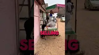 🇬🇭 $4 street food in west Africa Ghana #thevillagebeast