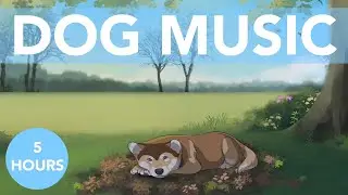 5 HOURS of Beautiful ASMR Sleep Music for Dogs! Reduce Anxiety!
