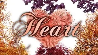 HEART | An Original Sims 3 Machinima
