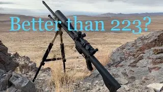 224 Valkyrie Discussion! Worth buying?