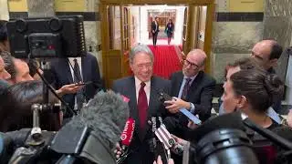 Winston Peters: We should make English an official language in New Zealand before it's pushed aside