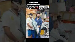 Big Surmai Fish All India Delivery Available #surmaifish #fishmarket #shortvideo #youtubeshorts