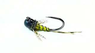 Simple Olive Baetis Euro Nymph. #flytying #flyfishing #baetis #nymphs #euronymphing #shotaflies 