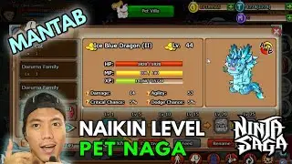 Eps #10 Cara Naikin Level Pet dengan Cepat!!! [Ninja Saga Indonesia 2020]
