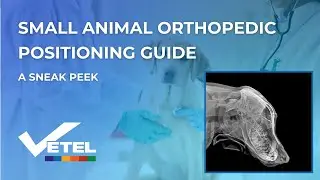Small Animal Radiograph Positioning Guide For Veterinarians