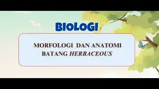 Morfologi dan Anatomi Tumbuhan Herbaceus