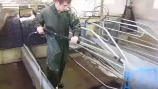 Stalosan Cleaner - How to clean