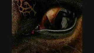 Carach Angren - Haunting Echoes From The Seventeenth Century