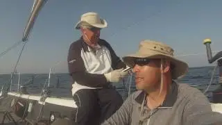 regata oceanica