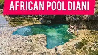 AFRICAN POOL VISIT | TIWI BEACH