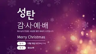 20251225 [1부] : 하늘엔 영광, 땅에 평화 (누가복음 2:13~14, 빌립보서 2:5~11) : 서정오 원로목사 동숭교회 성탄예배