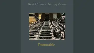I'mmuable (feat. Tommy Crane)