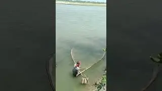 Expert Fisherman Shares TOP Net Fishing Techniques #shortsfeed #fishing