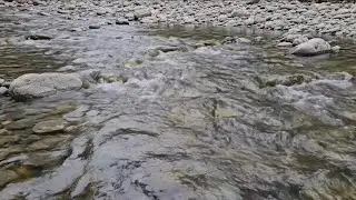 Nature River Sounds for Mindfulness, Sleep & Calm | Soft Flowing Water Ambience