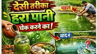 बिना केमिकल हरा पानी चेक करने का आसान तरीका | Easy Chemical-Free Way to Test Green Pond Water