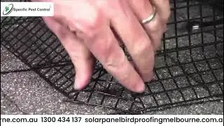 Best Netting and Barrier Installation Service for Solar Panels in Melbourne 🛠️✅