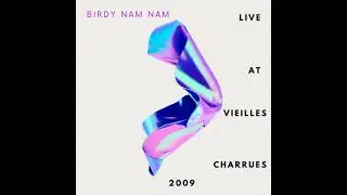 Birdy Nam Nam - Love Your Enemy, Kill Your Friend (Live At Vieilles Charrues)