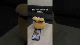 Pou sees himself on tiktok..#pou #trend #plush #popular #sad #viral #capcut #plushtoys #minions