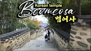[4K HDR] Korean Temple walking tour - Autumn foliage walk in Beomeosa Temple 🇰🇷 Busan, South Korea