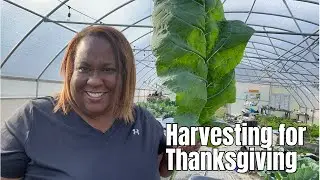 Garden Harvest for Thanksgiving | Special Thanksgiving Message