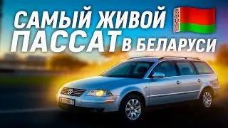 МЫ ПРИВЕЗЛИ PASSAT B5 ИЗ США - САМЫЙ ЖИВОЙ ПАССАТ В БЕЛАРУСИ?!