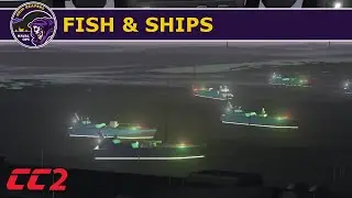 Needlefish vs Swordfish
