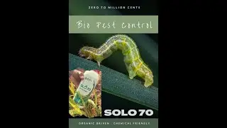 PLOT TRIAL PERTANIAN BUMBONG 5 PAKEJ ABM AGROTECH M2/2020