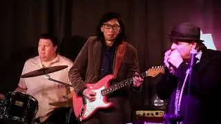 T Bone Shuffle - Kim Adams and the House Cats with Pat Loiselle