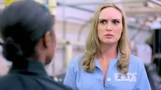 Kittens in a Cage Trailer (Official)