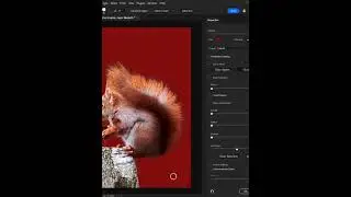Master Background Removal in Photoshop &ndash; Pro Tips & Tricks  #photoshop