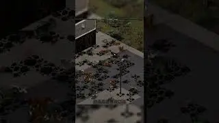 Les zones et POI pour d&eacute;buter et celles &agrave; &eacute;viter | Project Zomboid