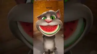 Tom Eating watermelon 🍉 | Tom video YouTube| Safikids