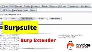 BURPSUITE(10) - Burp Extender